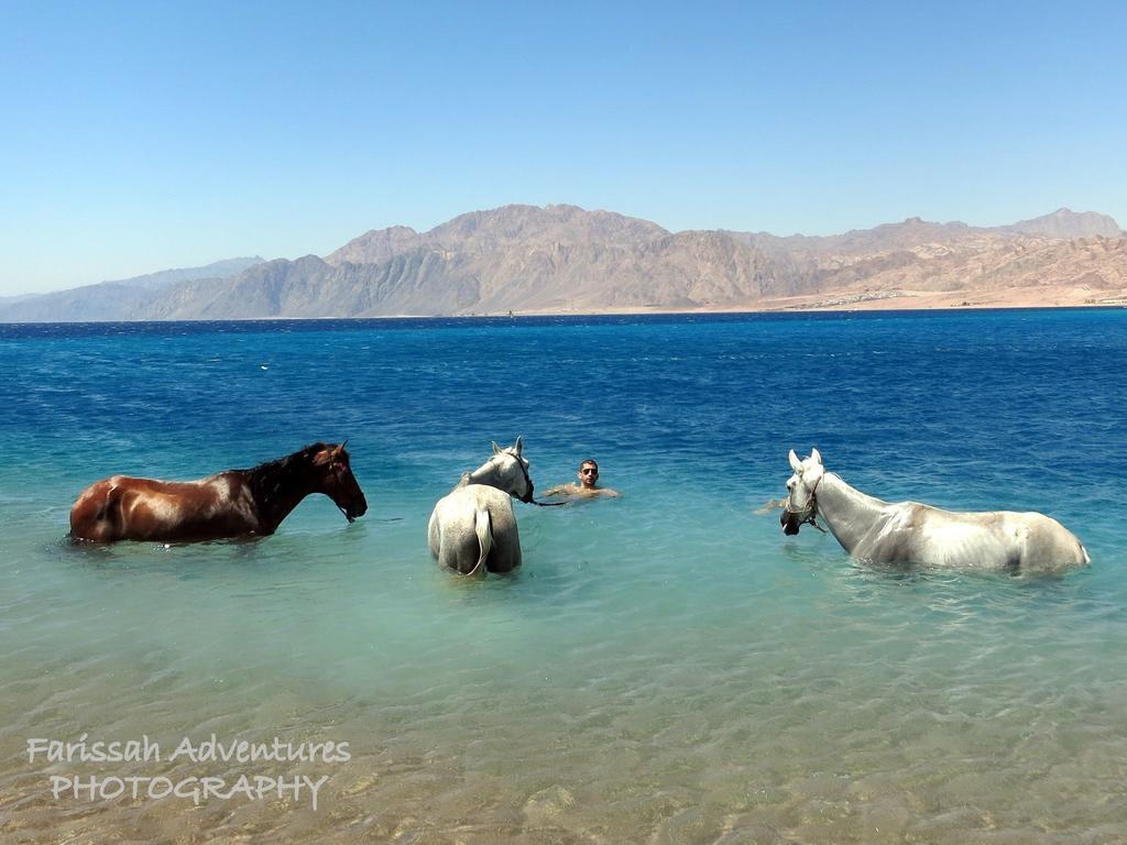 Blue Beach Club Dahab Exterior foto