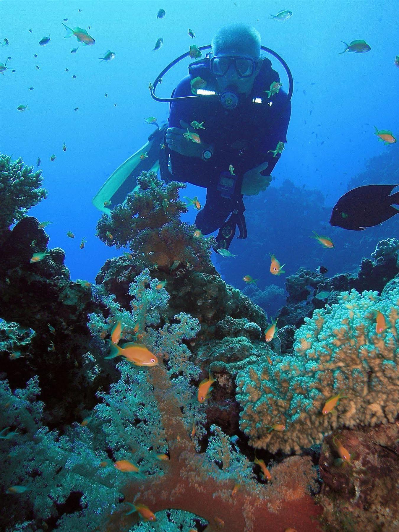 Blue Beach Club Dahab Exterior foto